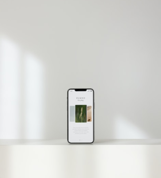 Image-1